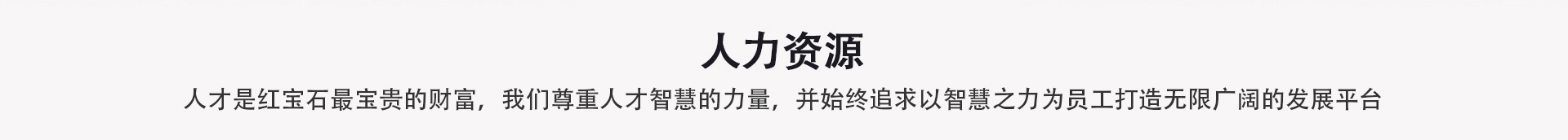 新聞資訊